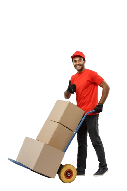 Services